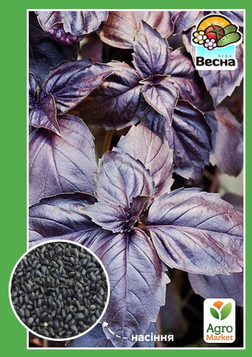 

Базилик Фиолетовый (Большой пакет) ТМ Весна 1г