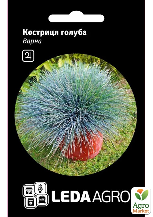 

Овсяница голубая Варна ТМ Leda Agro 0,2г