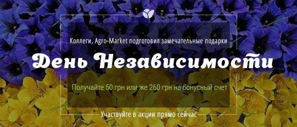 Празднуем вместе с нами День Независимости Украины! Празднуем вместе с нами День Независимости Украины!