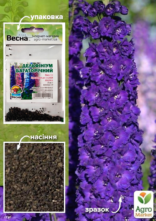 

Дельфініум Багаторічний (Зипер) ТМ Весна 1г