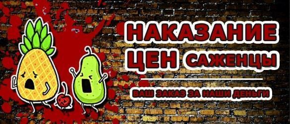 Наказание цен. Саженцы: Ваш заказ за наши деньги Наказание цен. Саженцы: Ваш заказ за наши деньги