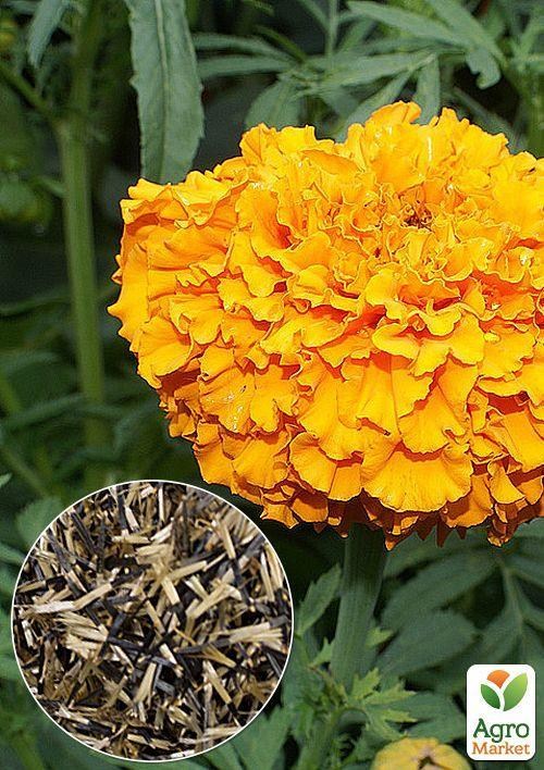 

На развес Бархатцы Валенсия ТМ Весна цена за 2г