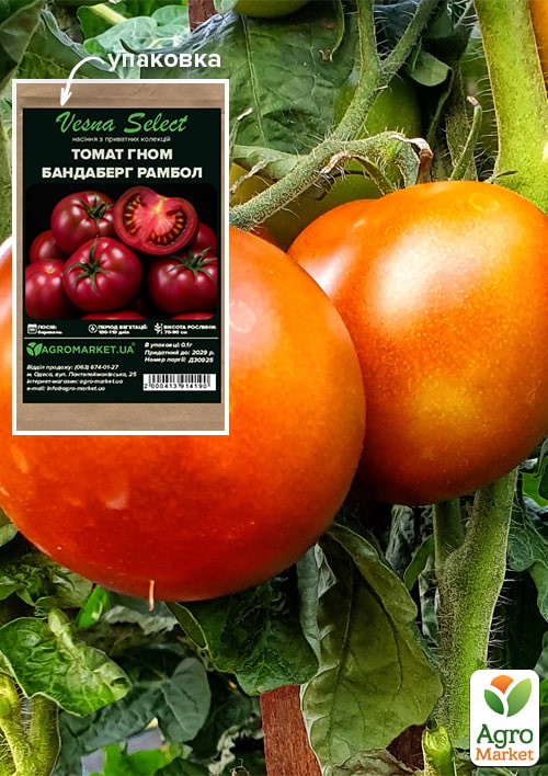 Томат гном "Бандаберг Рамбол" ТМ "Vesna Select" 0.1г