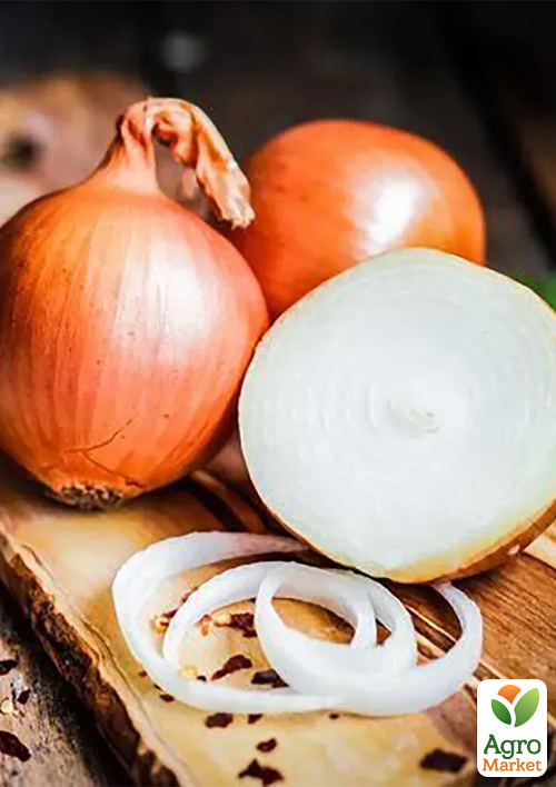 

Голландська цибуля-сівок 0.5кг (арбажейка) озима, жовта Августа