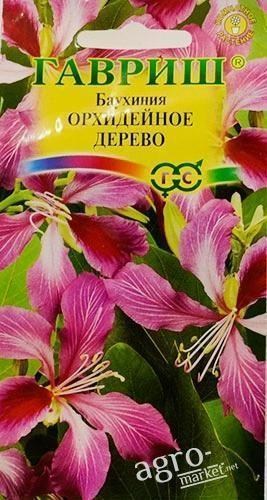 

Баухиния "Орхидейное дерево" ТМ "Гавриш" 3 шт