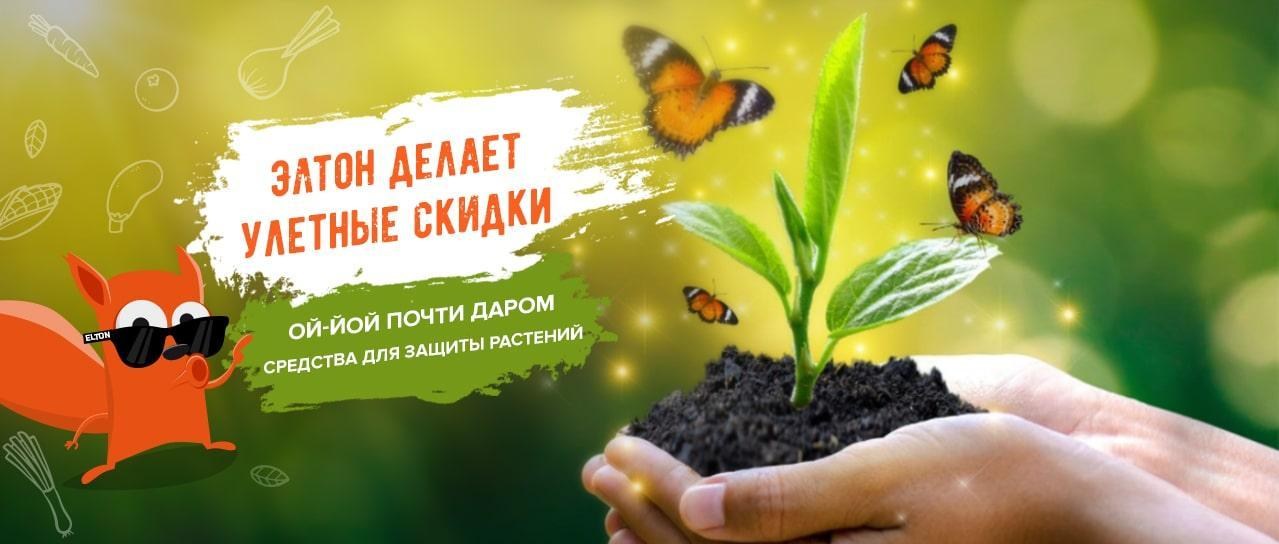 Акция! Защита растений со скидкой до -80% Акция! Защита растений со скидкой до -80%