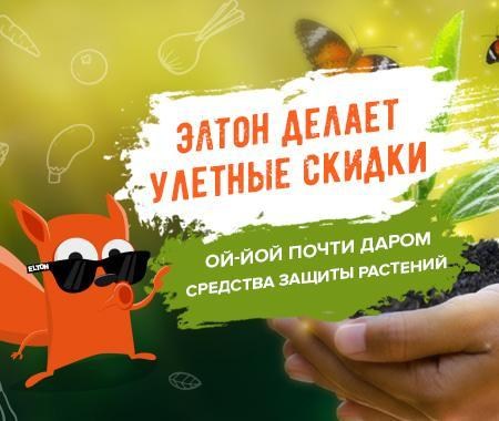 Акция! Защита растений со скидкой до -80% Акция! Защита растений со скидкой до -80%