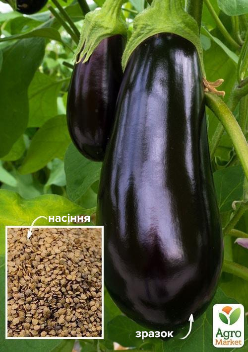 

На вагу Баклажан Чорний діамант ТМ Весна ціна за 2г