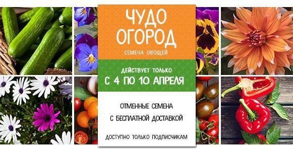 Чудо огород: бесплатная доставка на все семена Чудо огород: бесплатная доставка на все семена