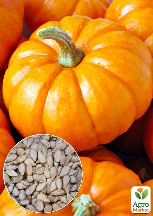 

На развес Тыква Мускат Прованса ТМ Весна цена за 10г