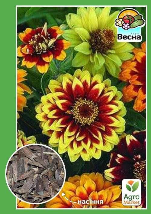 

Цинния Старое Мехико ТМ Весна 0.4г