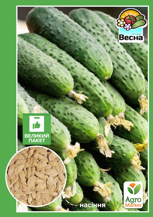 

Огірок Засолочний (Великий пакет) Весна 2г