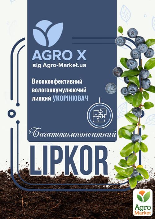 Липкий укорінювач нового покоління LIPKOR "Багатокомпонентний" (Ліпкор) ТМ "AGRO-X" 1л