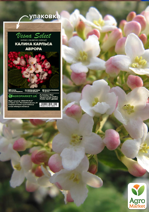 

Калина Карльса Аврора ТМ Vesna Select 10шт