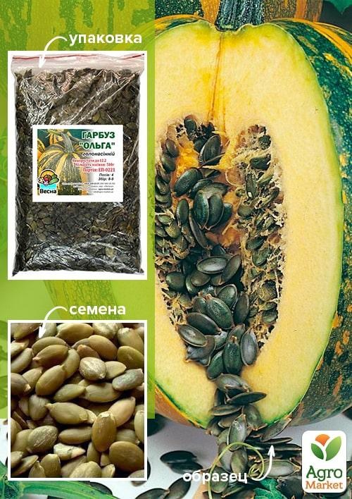 

Тыква Ольга ТМ Весна 500г