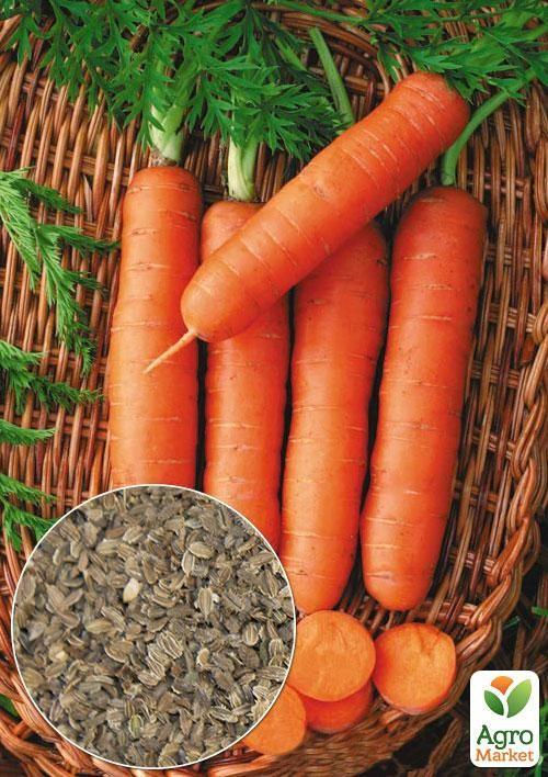 

На вагу Морква Без серцевини ТМ Весна ціна за 10г