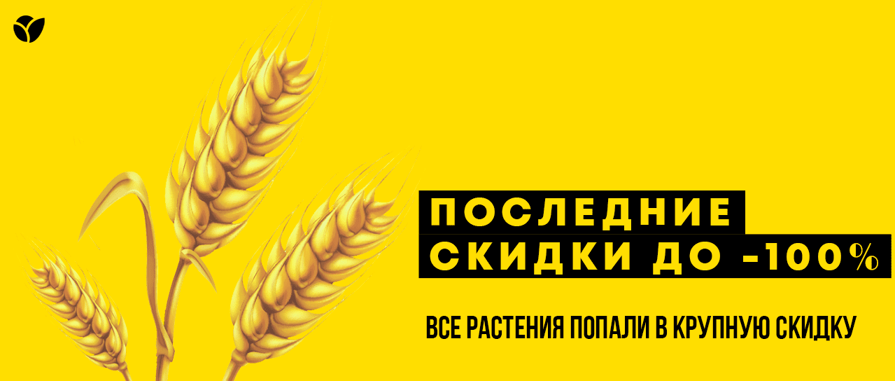 Последние -100% скидки! Последние -100% скидки!