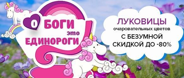 Акция! О Боги, это единороги! Луковицы очаровательных цветов с безумной скидкой до -80% Акция! О Боги, это единороги! Луковицы очаровательных цветов с безумной скидкой до -80%