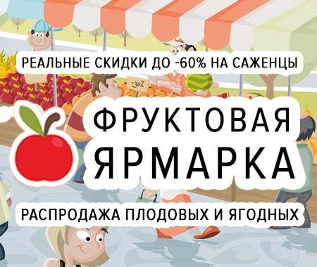Фруктовая ярмарка: тотальная распродажа плодовых и ягодных саженцев со скидкой до -60% Фруктовая ярмарка: тотальная распродажа плодовых и ягодных саженцев со скидкой до -60%