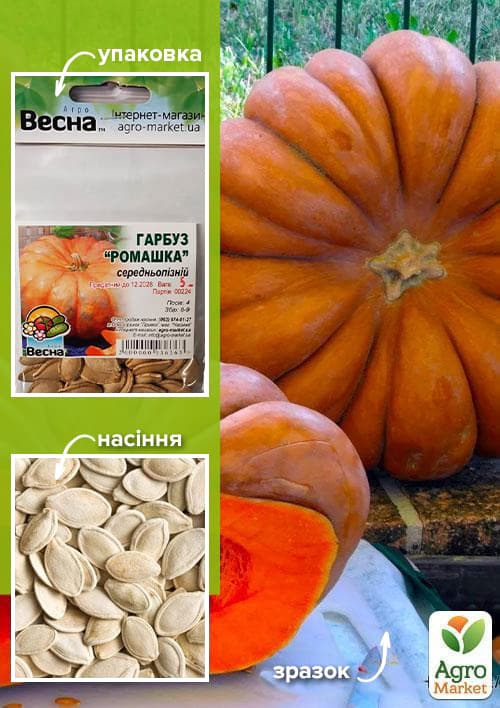 

Тыква Ромашка (Зипер) ТМ Весна 5г