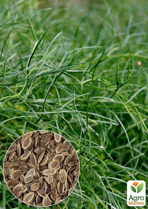 

На развес Укроп Лесногородский ТМ Весна цена за 20г