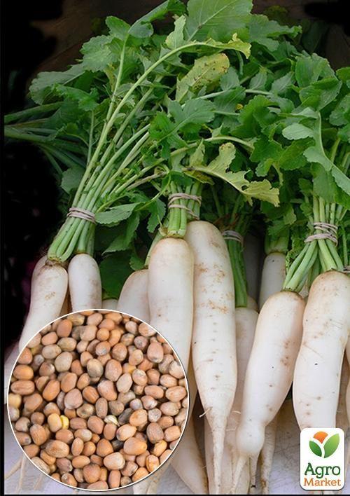 

На развес Редис Леда ТМ Весна цена за 10г