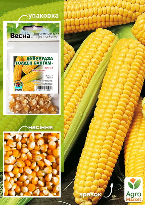 

Кукурудза Голден Бантам (Зипер) ТМ Весна 15г
