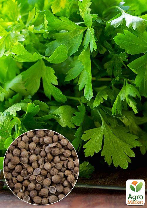 

На развес Кинза ТМ Весна цена за 20г