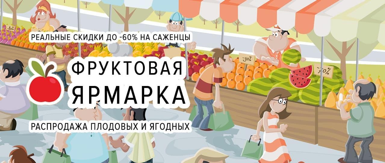 Фруктовая ярмарка: тотальная распродажа плодовых и ягодных саженцев со скидкой до -60% Фруктовая ярмарка: тотальная распродажа плодовых и ягодных саженцев со скидкой до -60%