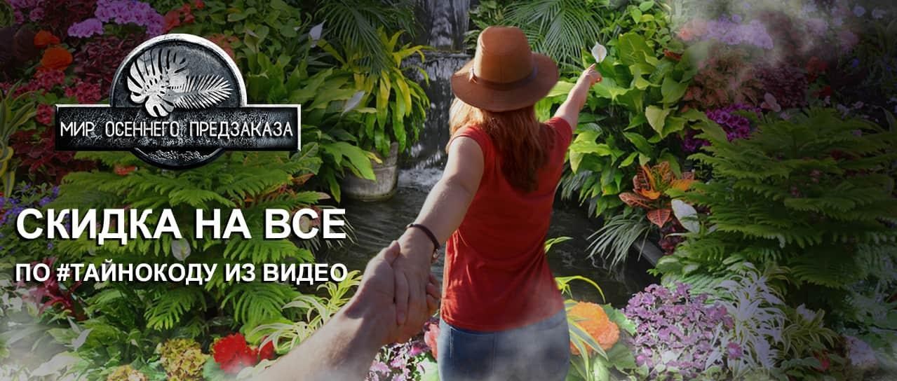 Мир осеннего предзаказа 2019 Мир осеннего предзаказа 2019