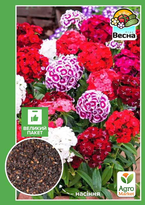 

Гвоздика Турецкая (Большой пакет) ТМ Весна 1г