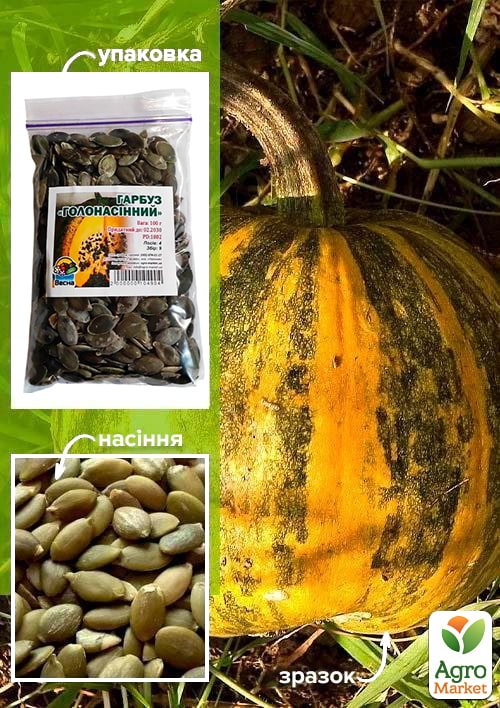

Гарбуз Голонасінний ТМ Весна 100г