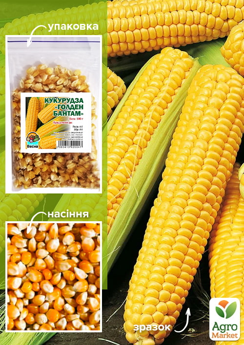 

Кукурудза Голден Бантам ТМ Весна 100г