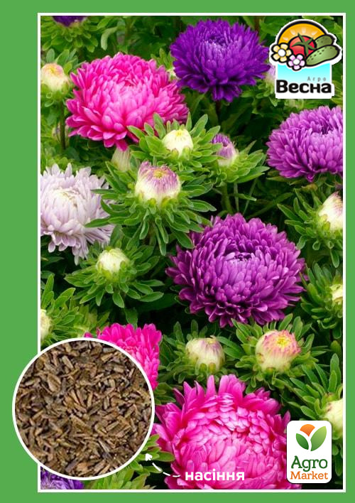 

Астра Дюшес смесь ТМ Весна 0.2г