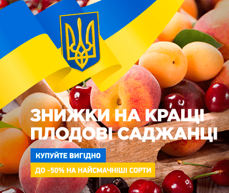 Акція! До -50% на кращі плодові саджанці Акція! До -50% на кращі плодові саджанці