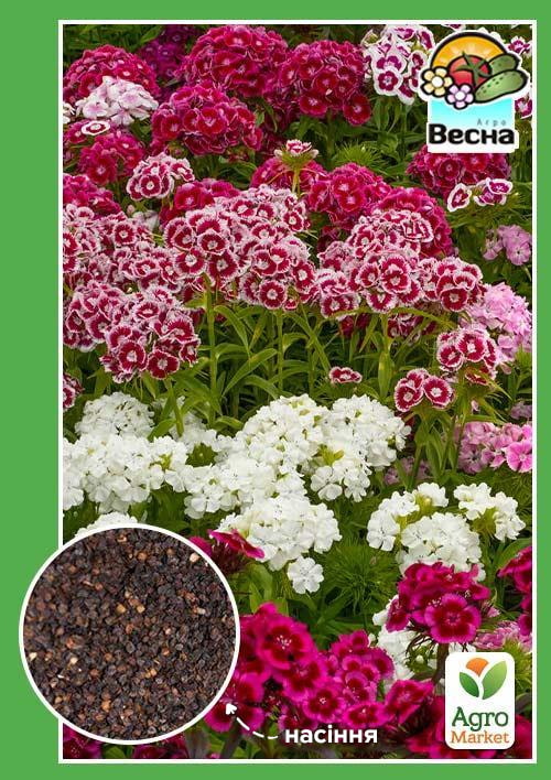 

Гвоздика турецкая Низкорослая ТМ Весна 0.3г