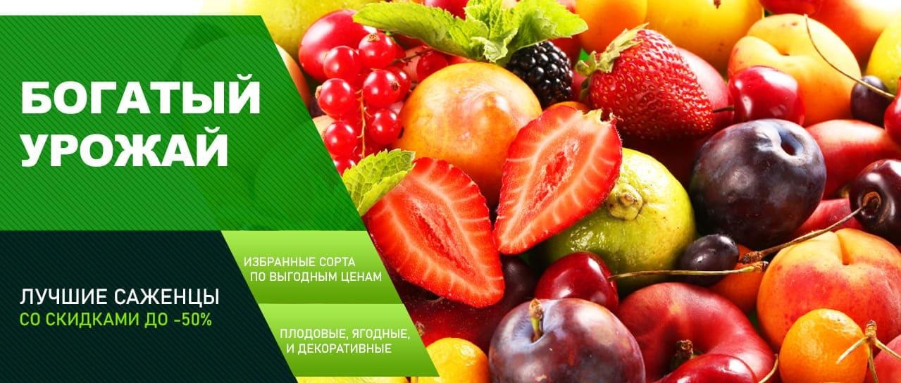 Акция! Скидки до -50% Акция! Скидки до -50%