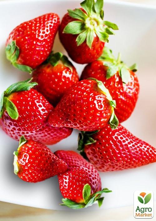 

Эксклюзив! Клубника ярко-красная Сладкая шоколадка (Sweet chocolate) 5 шт (американская селекция, премиальный ремонтантный сорт)