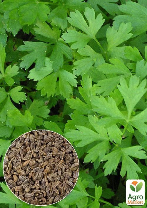 

На вагу Петрушка Балконна ТМ Весна ціна за 10г