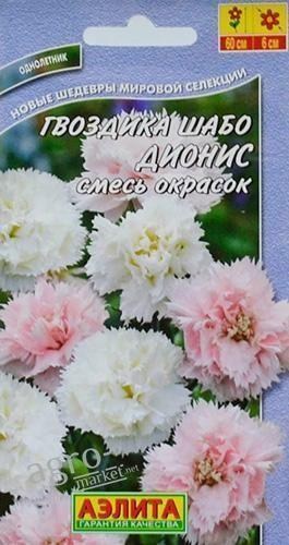 Гвоздика шабо "Дионис" смесь ТМ "Аэлита" 0.1г