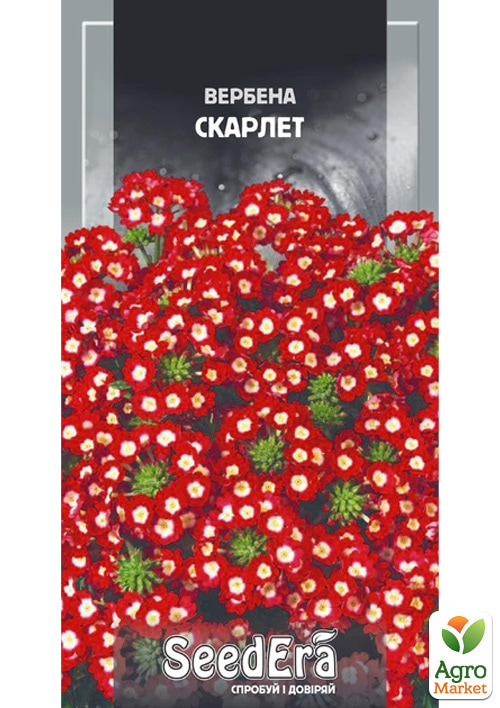 Вербена гібридна "Скарлет" ТМ "SeedEra" 0.2г