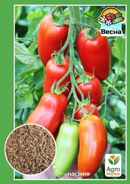 

Томат Банан красный ТМ Весна 0.1г