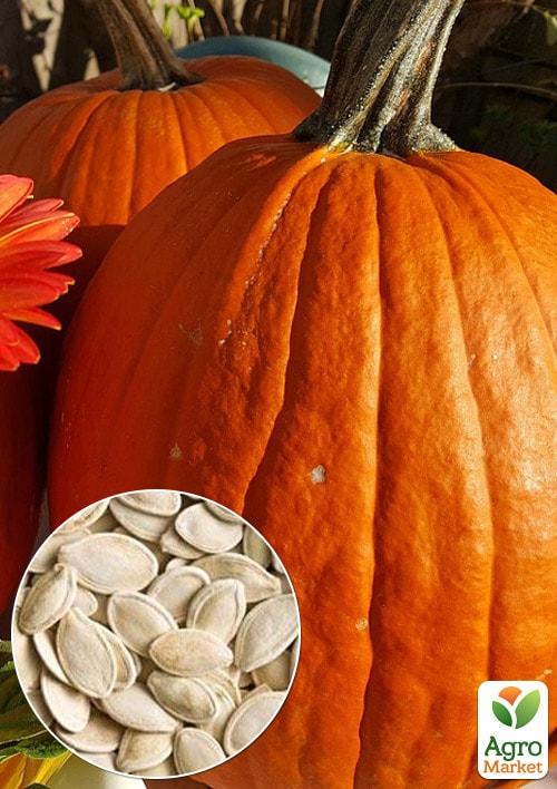 

На развес Тыква Фрацузский десерт ТМ Весна цена за 10г