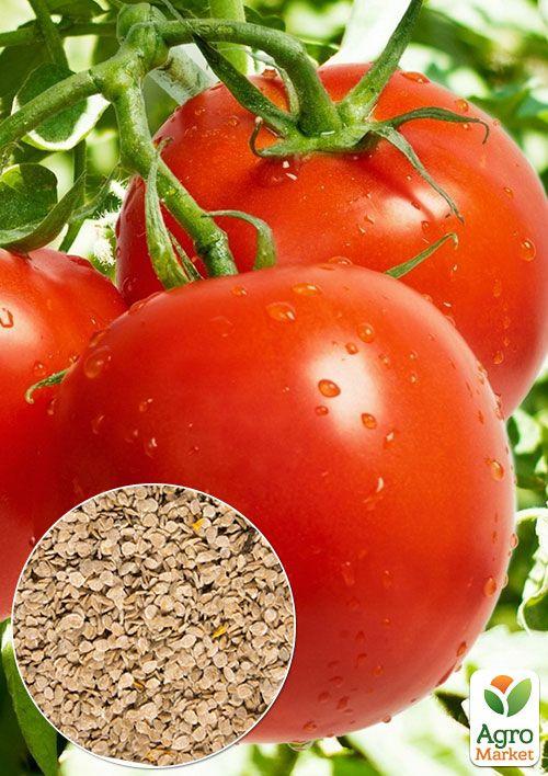 

На вагу Томат Київський 139 ТМ Весна ціна за 2г