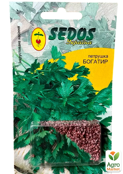 

Петрушка Богатир ТМ SEDOS 2г