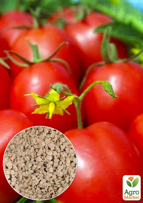 

На развес Томат Болгарская сливка ТМ Весна цена за 2г