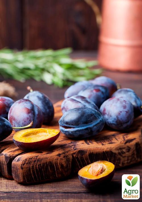 

Слива Амерс (осінній сорт, пізній термін дозрівання)