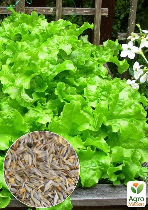 

На развес Салат Восхитительный ТМ Весна цена за 7г