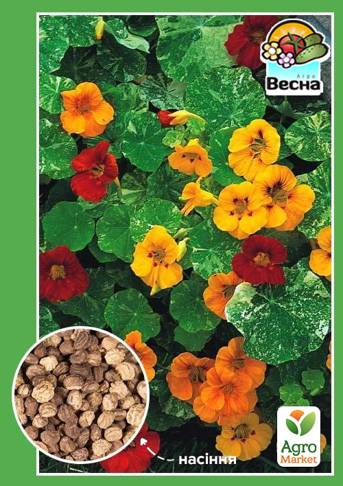 

Настурція Витка суміш ТМ Весна 0,5г