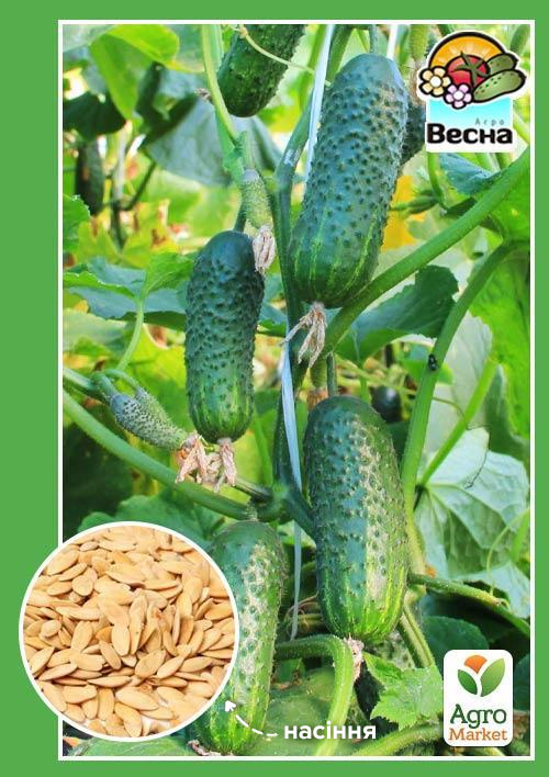 

Огірок Смарагдові сережки F1 (Новий пакет) ТМ Весна 0.25г